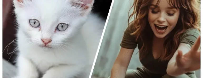 Son chaton est happé par un objet caché dans les bois, mais les habitants du quartier ignorent qu’il s’agit d’un danger pour eux tous