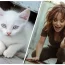 Son chaton est happé par un objet caché dans les bois, mais les habitants du quartier ignorent qu’il s’agit d’un danger pour eux tous